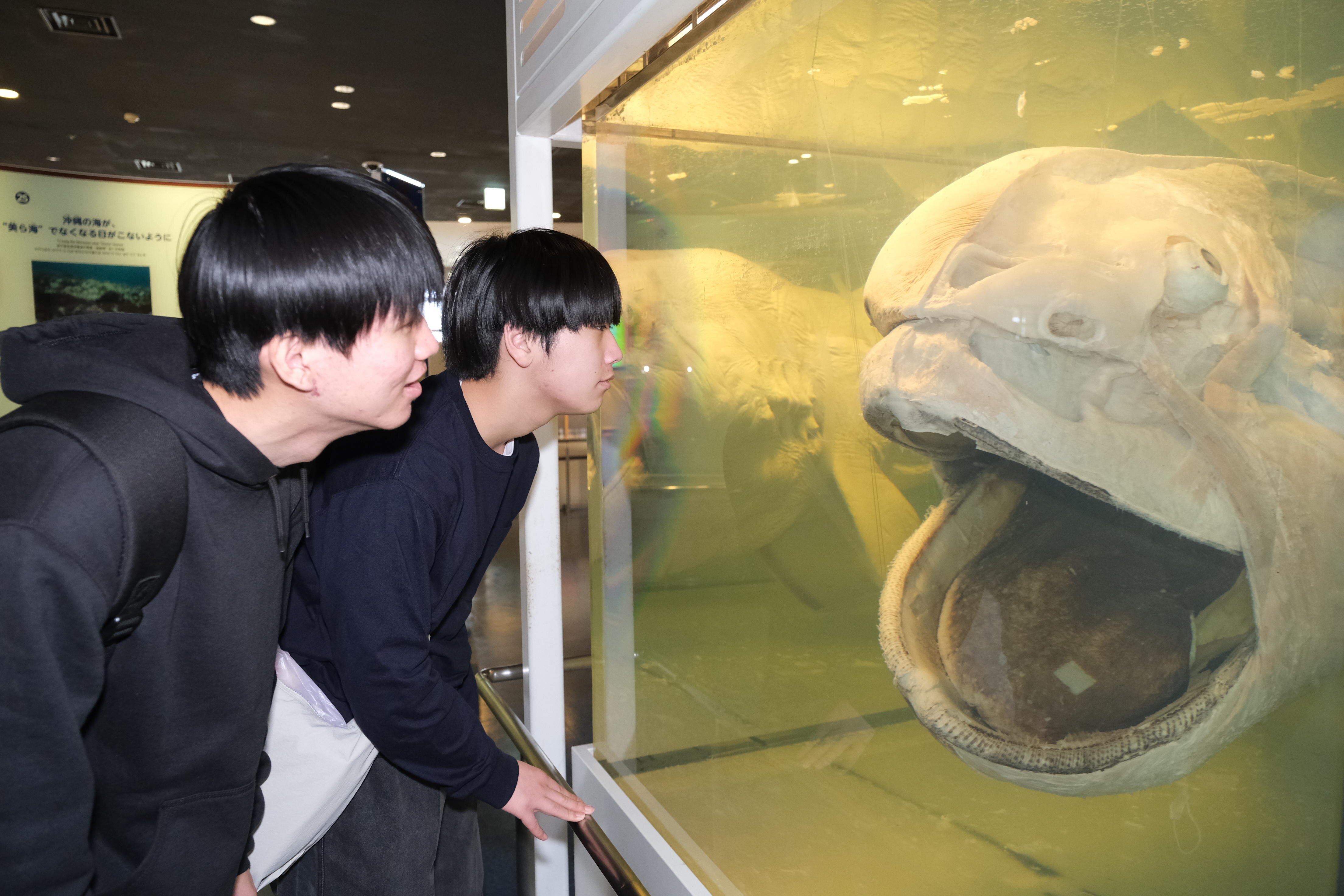 修学旅行(2年生)2