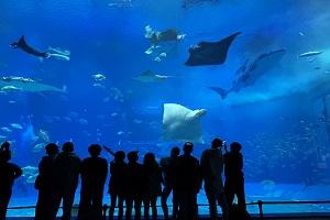 IMG_7909.jpg
