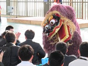 IMG_3181.jpg