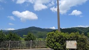 PXL_20250724_005732248.jpg